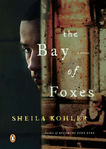 The Bay of Foxes: A Novel book cover by Sheila Kohler