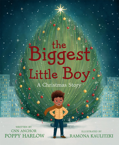 The Biggest Little Boy: A Christmas Story book cover by Poppy Harlow