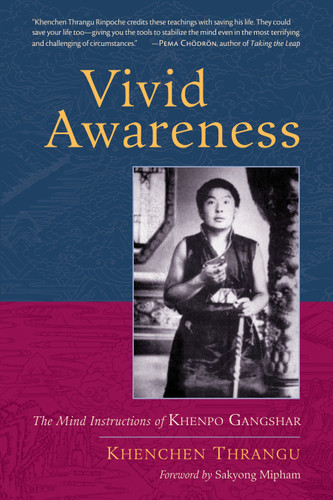Vivid Awareness: The Mind Instructions of Khenpo Gangshar book cover by Khenchen Thrangu