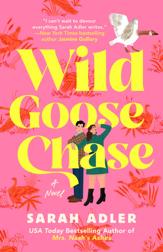 Wild Goose Chase book cover by Sarah Adler