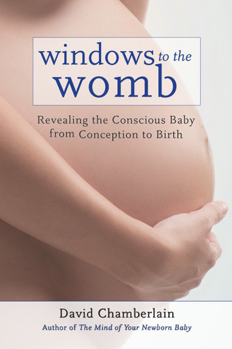Windows to the Womb: Revealing the Conscious Baby from Conception to Birth book cover by David Chamberlain