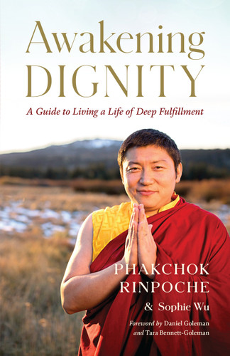 Awakening Dignity: A Guide to Living a Life of Deep Fulfillment book cover by Phakchok Rinpoche, Sophie Wu