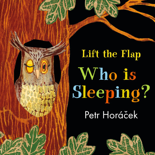 Who Is Sleeping? book cover by Petr Horacek