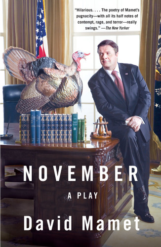 November: A Play book cover by David Mamet