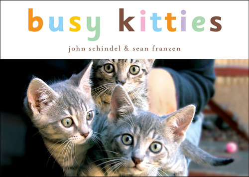 Busy Kitties (A Busy Book) book cover by John Schindel