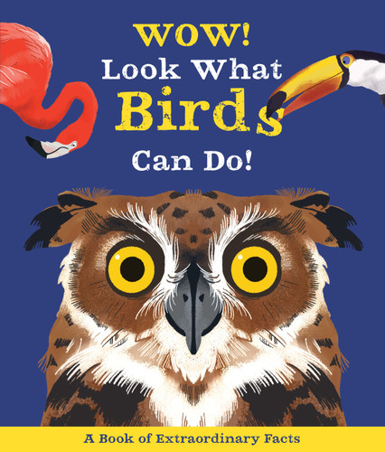 Wow! Look What Birds Can Do (Wow!) book cover by Camilla De La Bedoyere