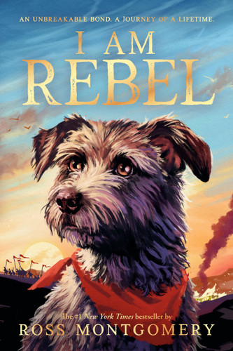 I Am Rebel book cover by Ross Montgomery