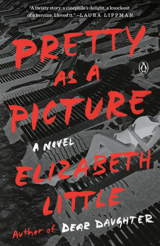 Pretty as a Picture: A Novel book cover by Elizabeth Little