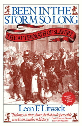 Been in the Storm So Long (Pulitzer Prize Winner): The Aftermath of Slavery book cover by Leon F. Litwack