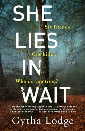She Lies in Wait: A Novel (Jonah Sheens Detective Series) book cover by Gytha Lodge