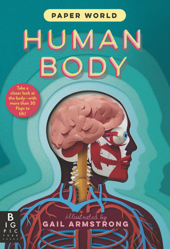 Paper World: Human Body (Paper World) book cover by The Templar Company LTD