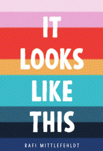 It Looks Like This book cover by Rafi Mittlefehldt
