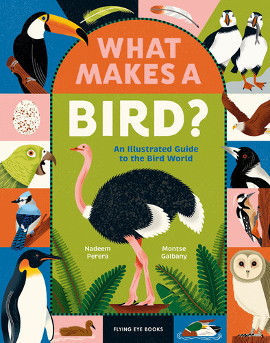 What Makes a Bird?: An Illustrated Guide to the Bird World book cover by Nadeem Perera