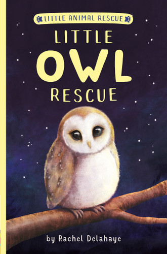 Little Owl Rescue (Little Animal Rescue) book cover by Rachel Delahaye