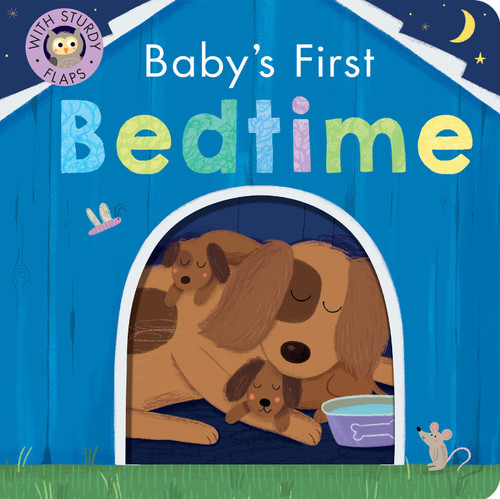 Baby's First Bedtime: With Sturdy Flaps book cover by Danielle McLean