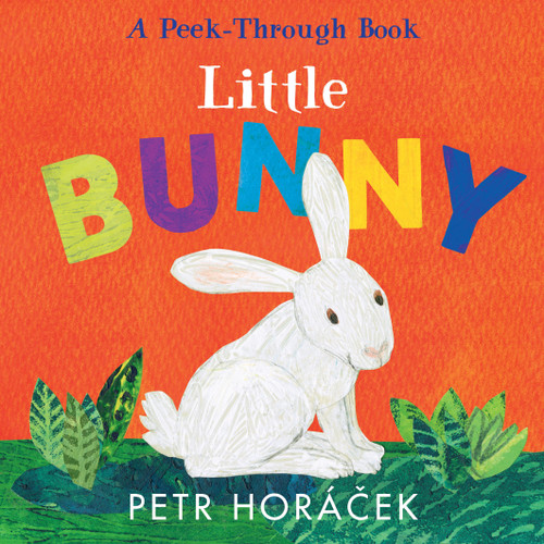Little Bunny book cover by Petr Horacek
