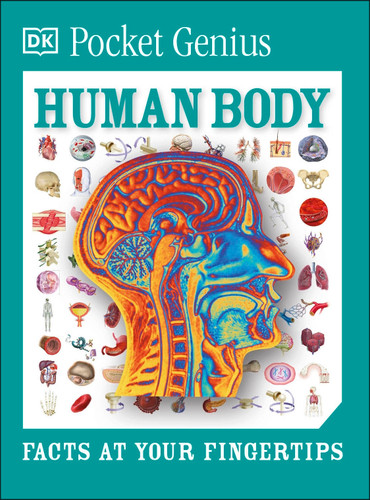 Pocket Genius Human Body: Facts at Your Fingertips (Pocket Genius) book cover by DK