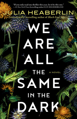 We Are All the Same in the Dark: A Novel book cover by Julia Heaberlin