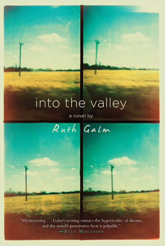 Into the Valley book cover by Ruth Galm