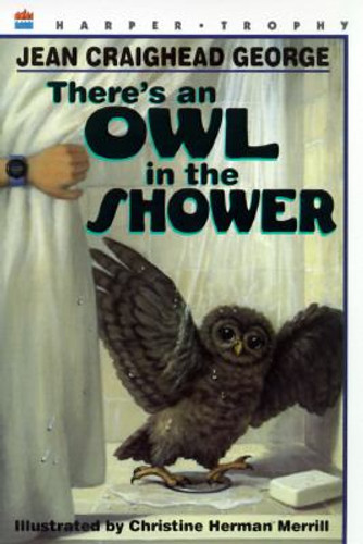 There's an Owl in the Shower Cover