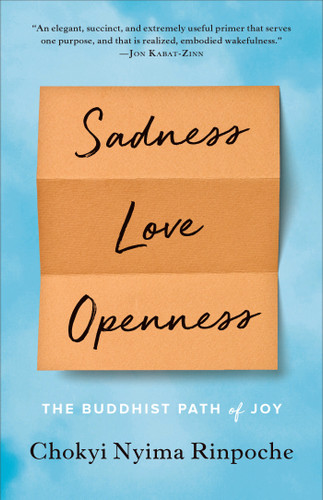 Sadness, Love, Openness: The Buddhist Path of Joy book cover by Chokyi Nyima Rinpoche