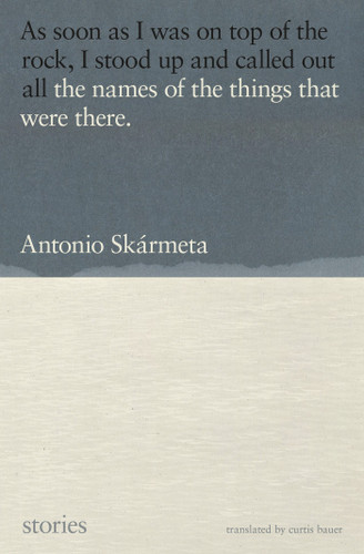 The Names of the Things That Were There: Stories book cover by Antonio Skármeta