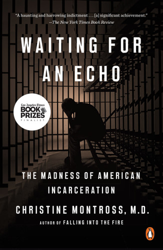 Waiting for an Echo: The Madness of American Incarceration book cover by Christine Montross