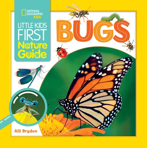 Little Kids First Nature Guide Bugs (Little Kids First Nature Guide) book cover by Alli Brydon