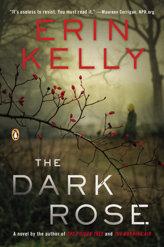 The Dark Rose: A Novel book cover by Erin Kelly