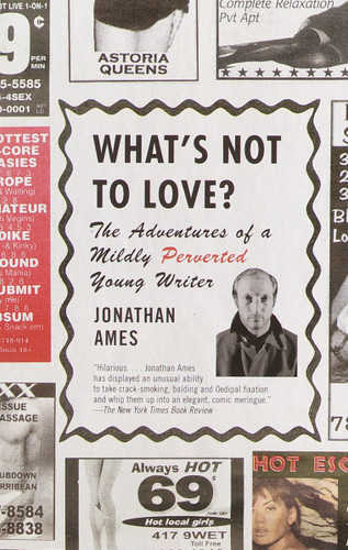 What's Not to Love?: The Adventures of a Mildly Perverted Young Writer book cover by Jonathan Ames