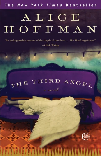 The Third Angel: A Novel book cover by Alice Hoffman
