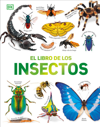 El libro de los insectos (Bugs, Butterflies, Beetles and Bees) (DK Our World in Pictures) book cover by DK