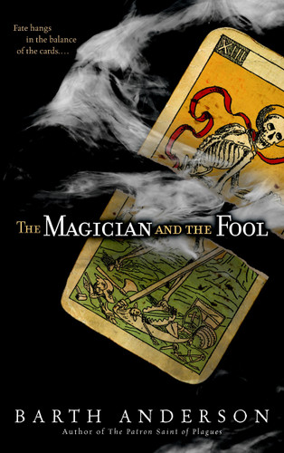 The Magician and the Fool: A Novel book cover by Barth Anderson