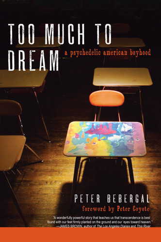 Too Much to Dream: A Psychedelic American Boyhood book cover by Peter Bebergal
