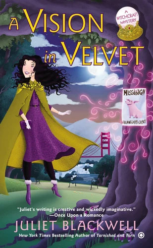 A Vision in Velvet (Witchcraft Mystery) book cover by Juliet Blackwell
