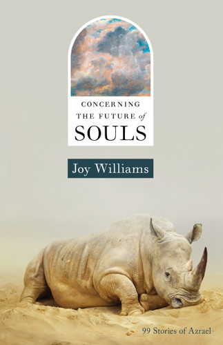 Concerning the Future of Souls: 99 Stories of Azrael book cover by Joy Williams