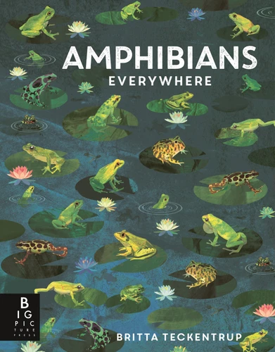 Amphibians Everywhere: (A Kids' Nonfiction Science and Nature Book About Frogs, Toads, Newts, Salamanders, and Habitats for Ages 6-9) (Animals Everywhere) book cover by Camilla De La Bedoyere