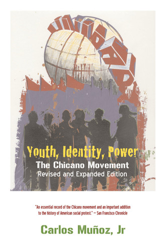 Youth, Identity, Power: The Chicano Movement book cover by Carlos Munoz