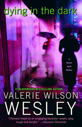 Dying in the Dark: A Tamara Hayle Mystery (Tamara Hayle) book cover by Valerie Wilson Wesley