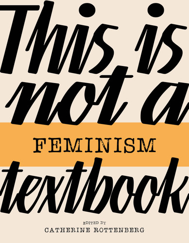 This Is Not a Feminism Textbook (This Is Not a...Textbook) book cover by 