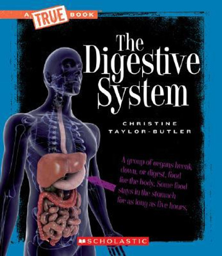 The Digestive System [Paperback] Cover