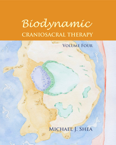 Biodynamic Craniosacral Therapy, Volume Four book cover by Michael J. Shea, Ph.D.