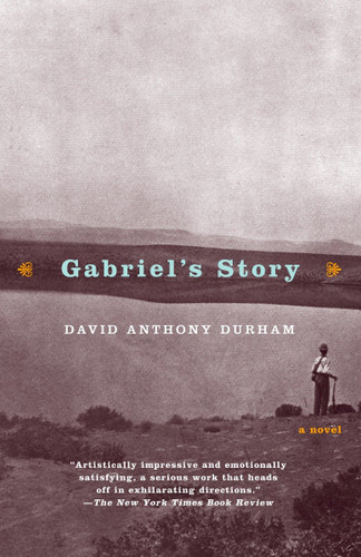 Gabriel's Story: A Novel (Hurston/Wright LEGACY Award) book cover by David Anthony Durham