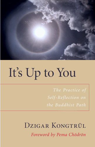 It's Up to You: The Practice of Self-Reflection on the Buddhist Path book cover by Dzigar Kongtrul