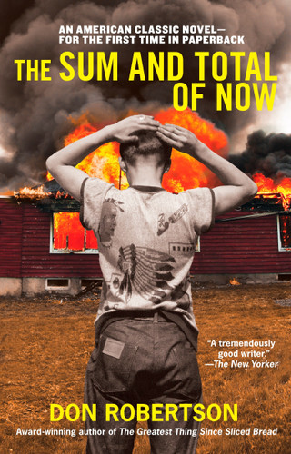The Sum and Total of Now book cover by Don Robertson