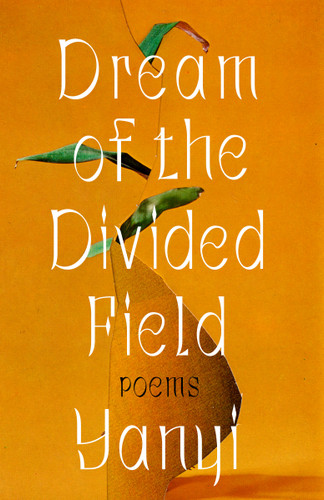 Dream of the Divided Field: Poems book cover by Yanyi