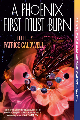 A Phoenix First Must Burn: Sixteen Stories of Black Girl Magic, Resistance, and Hope book cover by 