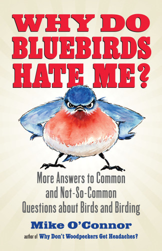 Why Do Bluebirds Hate Me?: More Answers to Common and Not-So-Common Questions about Birds and Birding book cover by Mike O'Connor
