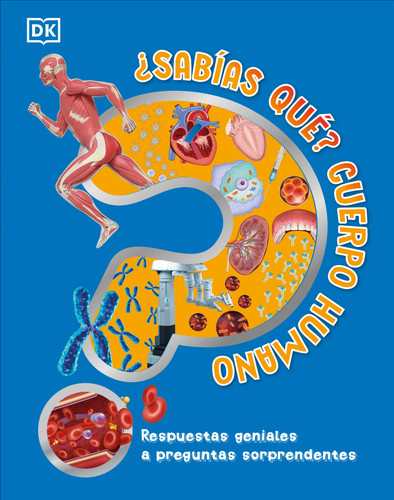 ¿Sabías qué? Cuerpo humano (Did You Know? Human Body) (Why? Series) book cover by DK