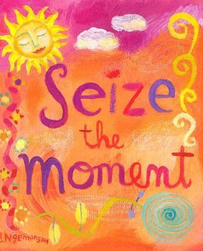 Seize the Moment [Hardcover] Cover